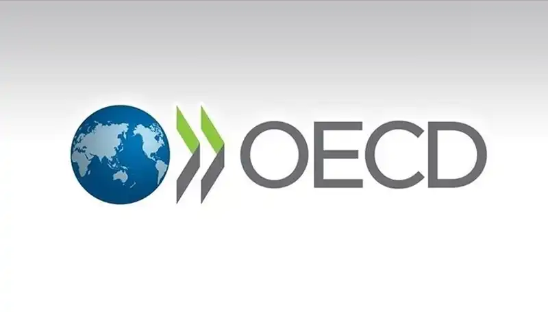 OECD’nin En Son Raporu: Türkiye Ekonomisinde Büyüme Tahmini Artıyor mu?