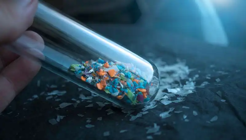 Mikroplastikler: İnsan Beyninde Oluşan Tehlikeli Etkiler