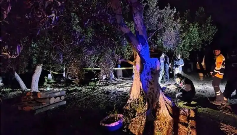 Çiftlikteki Baltalı Vahşete Sıcak Gelişme: Bir Tutuklama Gerçekleşti