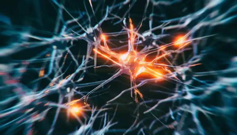 Alzheimer Vakaları Neden Artıyor? Yeni Araştırmalar Şaşırtıyor!