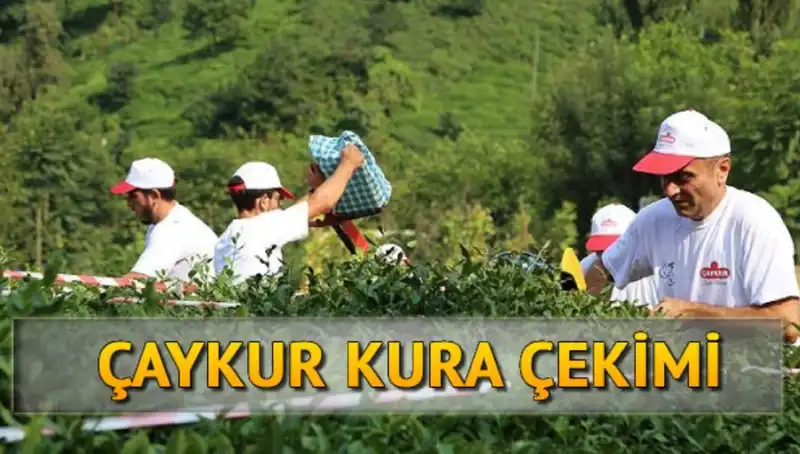 Çaykur Canlı Kura Sayfası: Kura İsim Listesini Öğrenmenin Yolu
