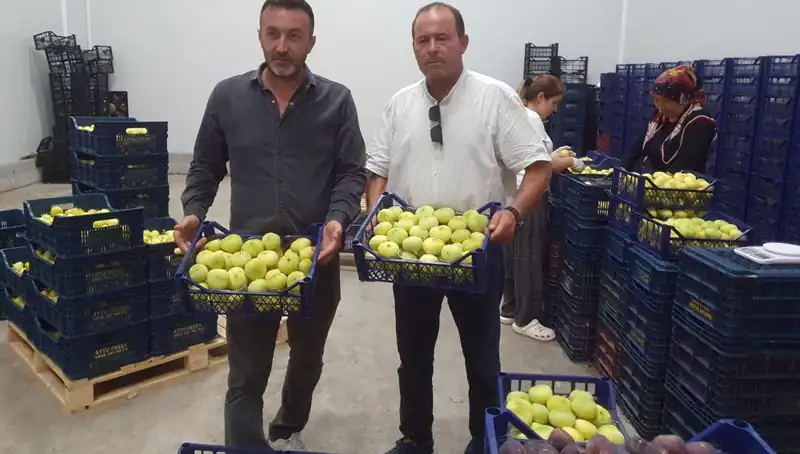 Mersinli Çiftçilerin Yüzü Güldü: Tarım Ürünlerinde İhracat Fırtınası