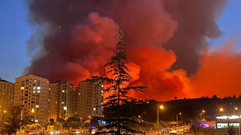 Bursa'daki Yangınlar: Şehirde Tedirgin Edici Gelişmeler Yaşanıyor