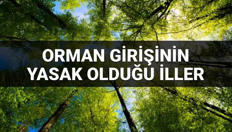 2025'te Ormana Girmesi Yasaklanan İllerin Şaşırtıcı Listesi