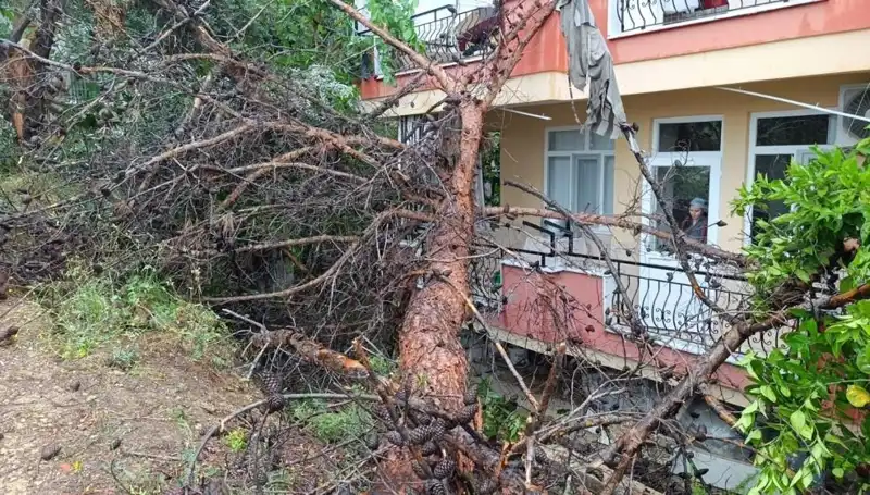 Yağışların Ardından İhtişamlı Bina Devrildi: Neler Oluyor?