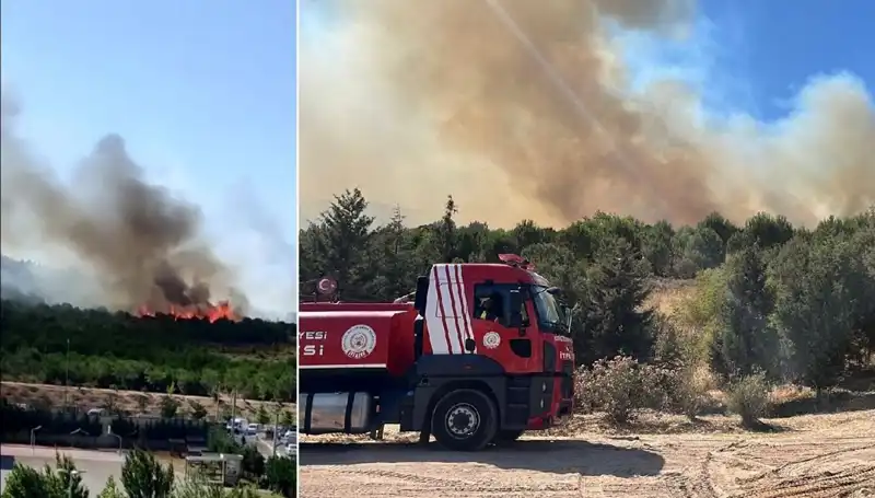 Gebze’de Patlayan Orman Yangını, Doğa ve Hayvanlar Tehdit Altında!