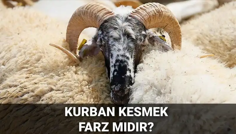 Kurban Kesmenin Farz Olup Olmadığı ve Şartları Hakkında Her Şey