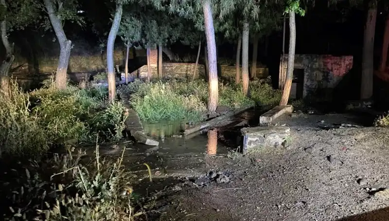 Manisa'da Parkta Gerçekleşen Şüpheli Ölüm Olayı Tüm Şehri Şoke Etti