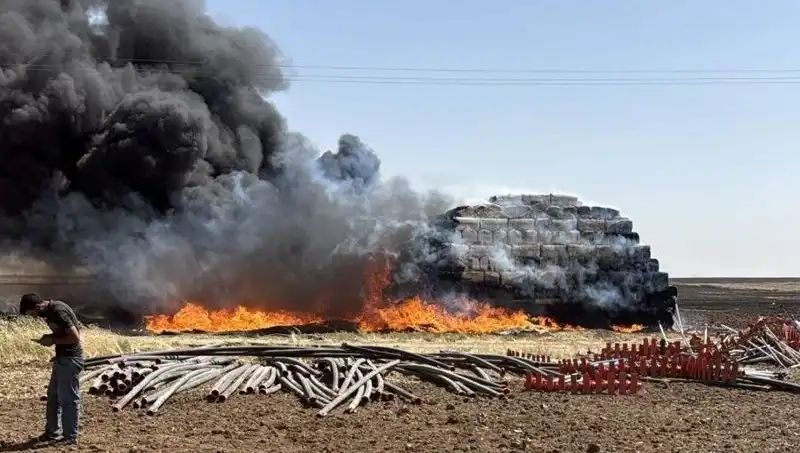Mardin'de Korkutan Anız Yangını: İnsanlar ve Doğa Tehlikede
