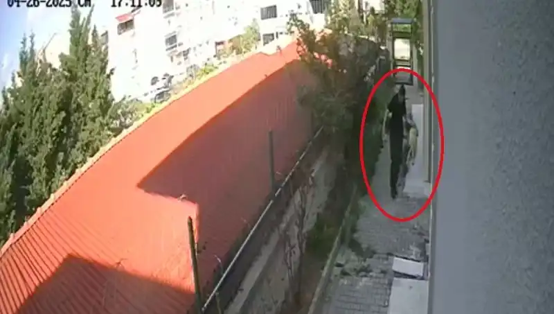 Veteriner Doktorun Şok Eden İfadesi: Evdeki Köpekleri Neden Parçaladı?