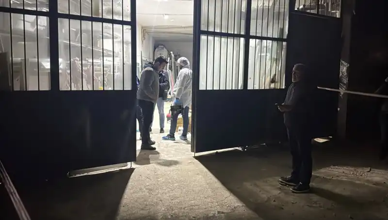 İş Yerinde Şok Edici Cinayet: Battaniye ile Saklanan Korkunç Gerçek