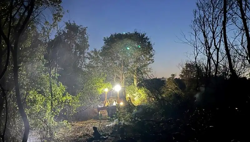 Edirne'deki Orman Yangını Rüzgarın da Yardımıyla Kontrol Altına Alındı