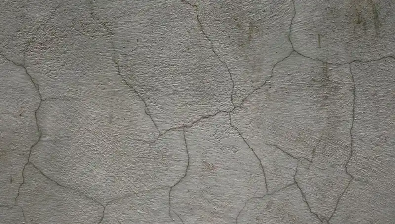 Canlı Beton: Yapıların Geleceğini Şekillendiren Dönüşüm