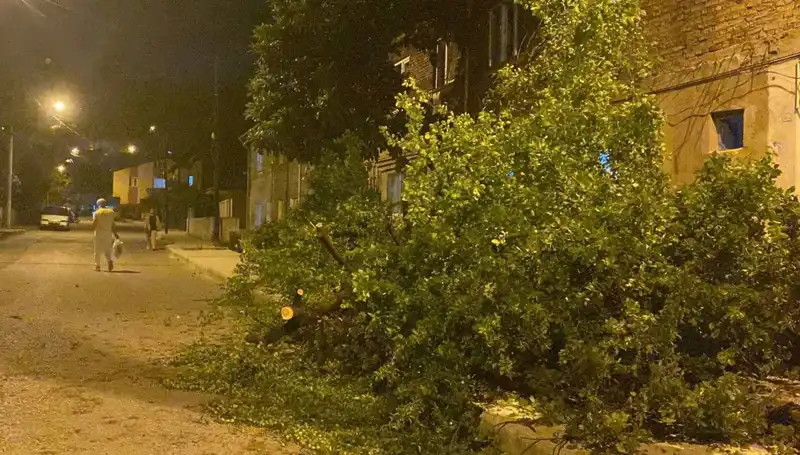 Karabük'te Şiddetli Fırtına Hayatı Olumsuz Etkiledi: Detaylar Belli Oluyor