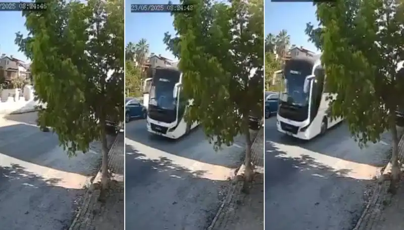 Yolda Yatan Köpeği Ezip Geçen Sürücü Kim? Olayın Ardındaki Gerçekler!
