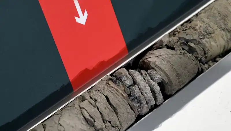 Müze Otoparkında Bulunan Dinozor Fosili: Bilim Dünyasını Sarstı!